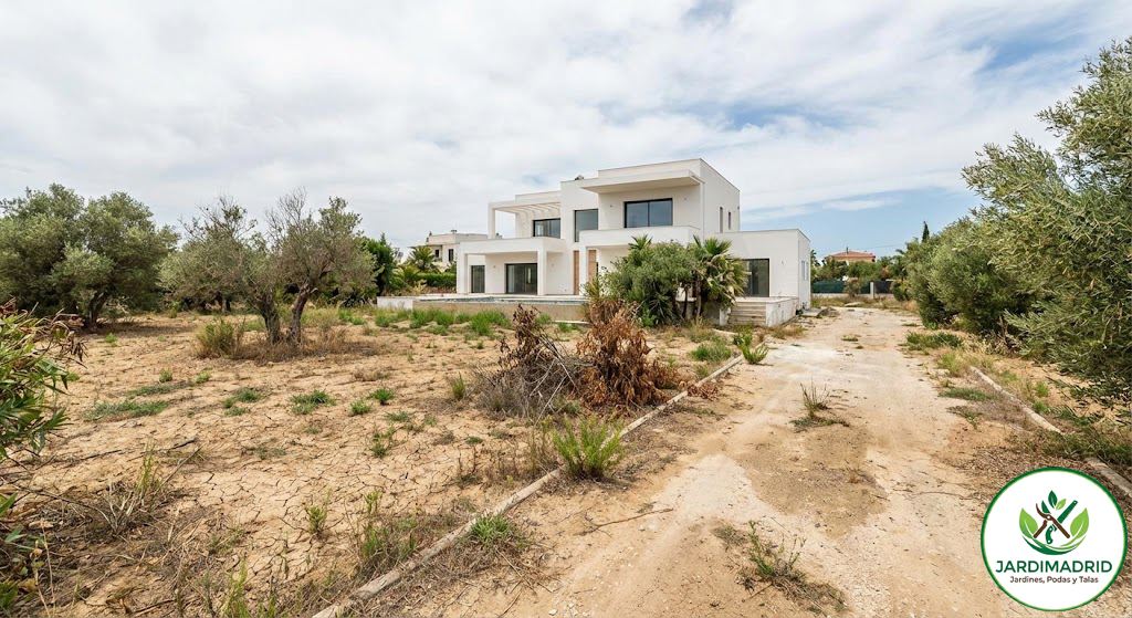 Jardín particular antes de la obra